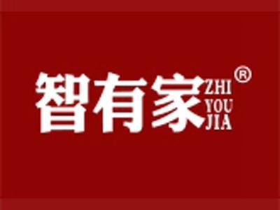 智有家+拼音