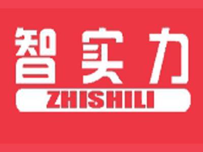 智实力