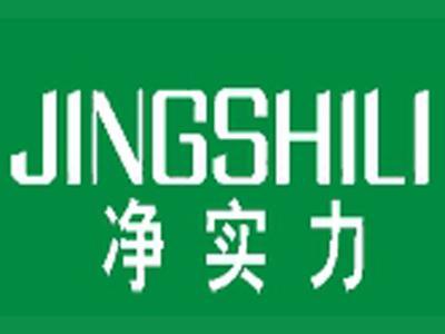 净实力+拼音