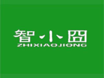 智小囧+拼音