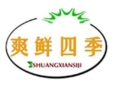 爽鲜四季