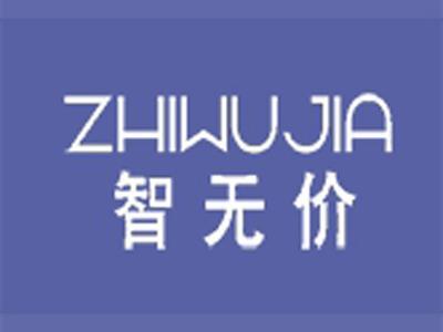 智无价ZHIWUJIA(中文+拼音）