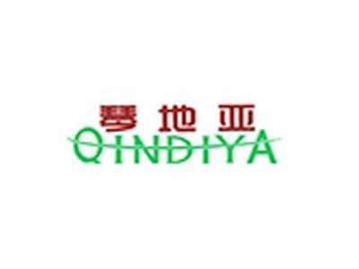 琴地亚+拼音