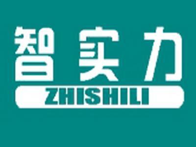 智实力