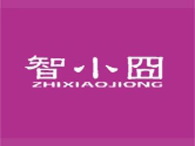智小囧+拼音