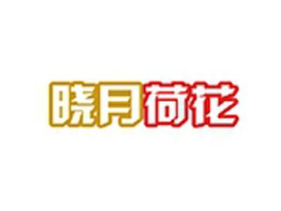晓月荷花