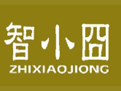 智小囧+拼音