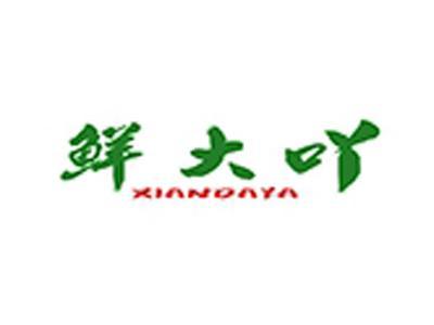 鲜大吖+拼音