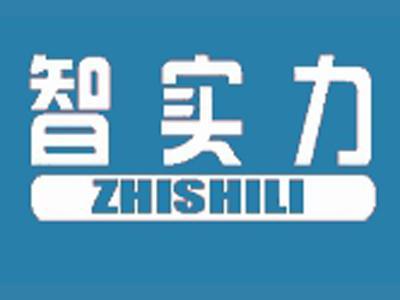 智实力