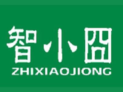 智小囧+拼音