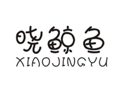 晓鲸鱼XIAOJINGYU