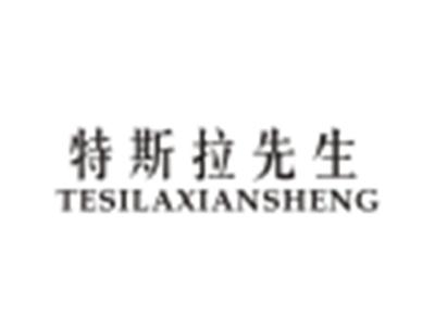 特斯拉先生TESILAXIANSHENG