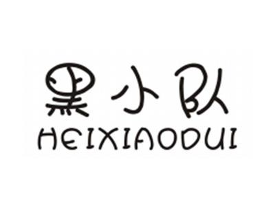 黑小队HEIXIAODUI