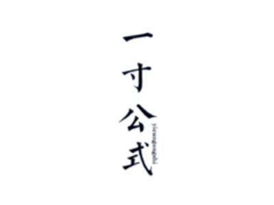 一寸公式YICUNGONGSHI