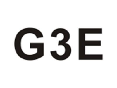 G3E