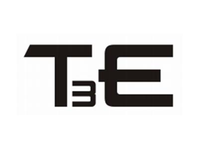 T3E