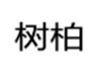 树柏