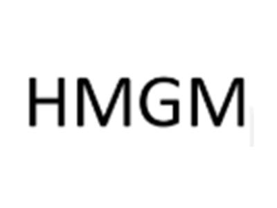 HMGM