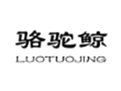 骆驼鲸
