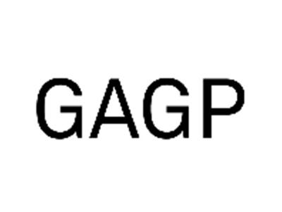 GAGP