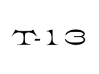 T-13