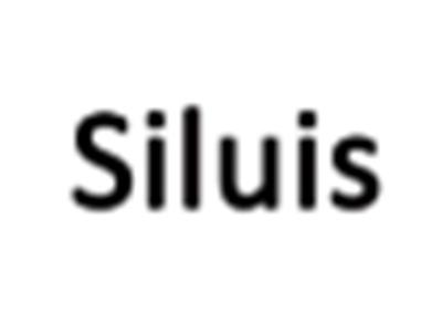 Siluis