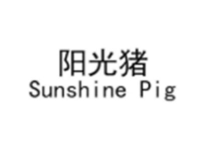 阳光猪