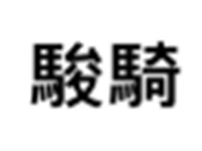 骏骑