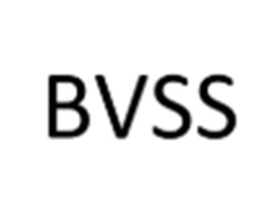 BVSS