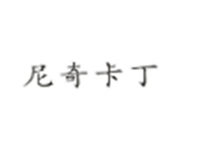 尼奇卡丁