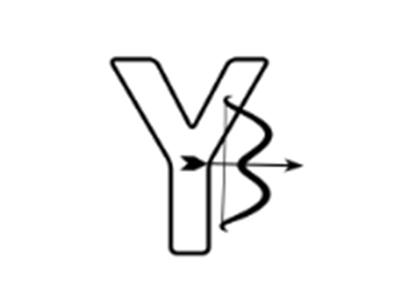 Y3图形
