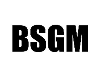 BSGM