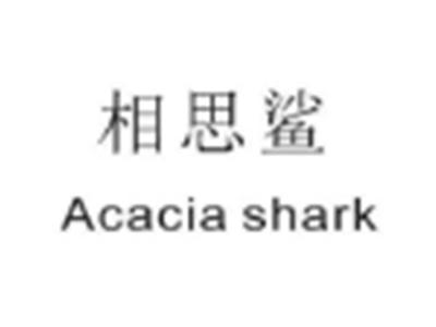相思鲨