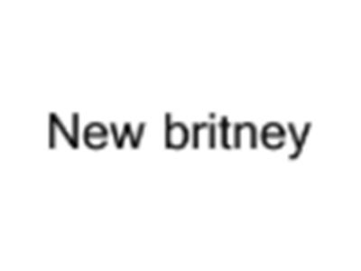 Newbritney
