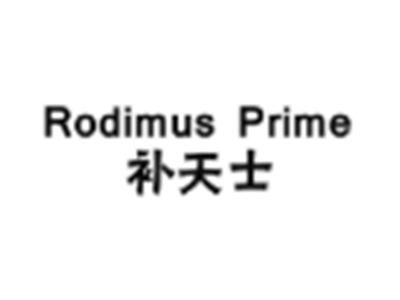 补天士