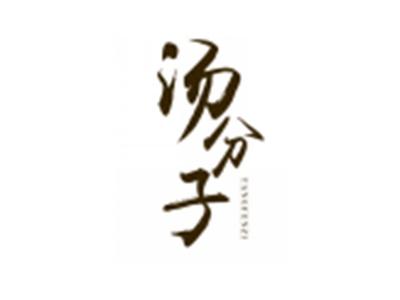 汤分子