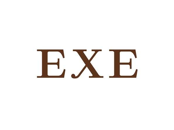 EXE