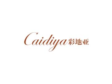 彩地亚