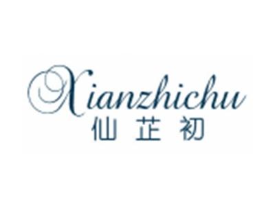 仙芷初