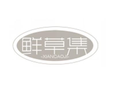 鲜草集