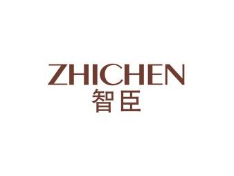 智臣