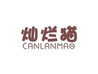 灿烂猫