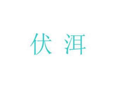 伏洱