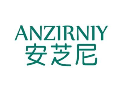 安芝尼ANZIRNIY