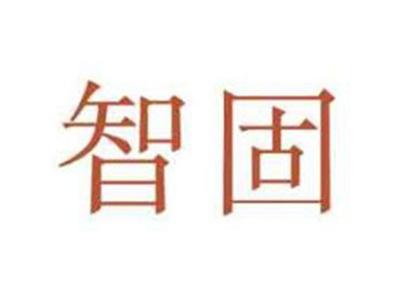 智固