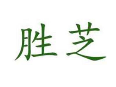 胜芝
