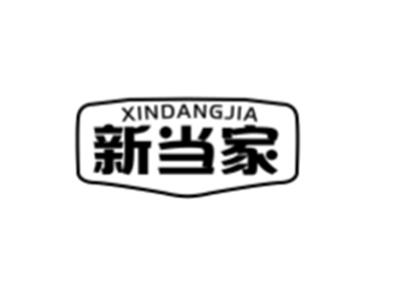 新当家