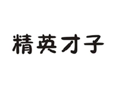 精英才子