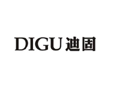 迪固
