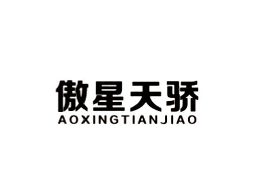 傲星天骄